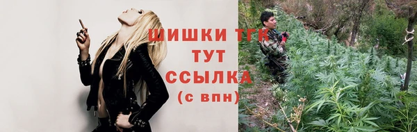 дмт Богородск
