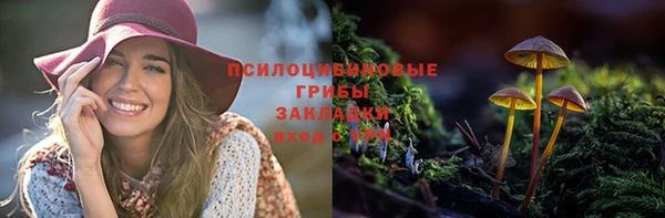 синтетический гашиш Богданович