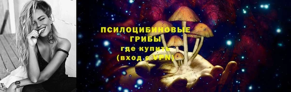 дмт Богородск