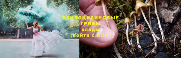 дмт Богородск
