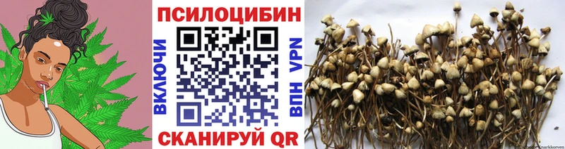 сколько стоит  Коркино  Галлюциногенные грибы мухоморы 